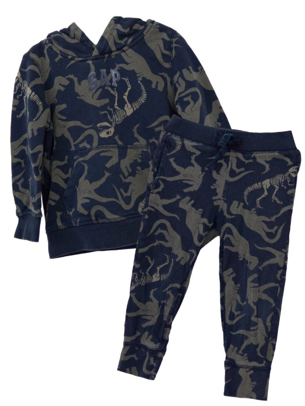 3T Gap Dinosaur Set